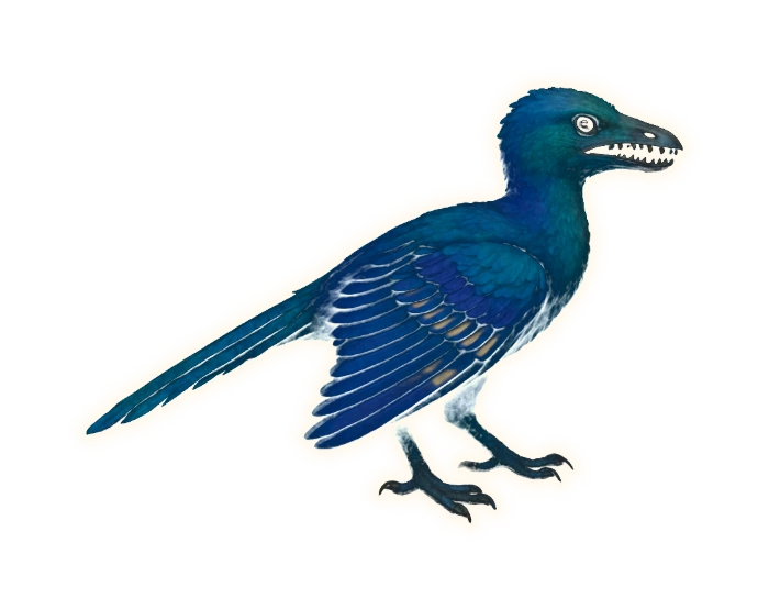 a raven-sized dinosaur-like animal with sharp teeth in its jaws, a long bony tail trailing straight out behind with feathers running down either side of it, and broad rounded feathered wings — its plumage a deep iridescent blue-green shot with violet, like the sheen on a magpie's wing, with pale cream bars across the flight feathers