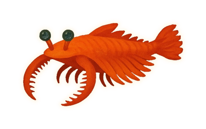 a flattened, segmented swimmer with rows of side fins like a shrimp, two large stalked eyes, two long spiny grasping arms held out in front like a pair of curved combs, and underneath the head a small circular ring of overlapping plates, like a camera aperture, as its mouth