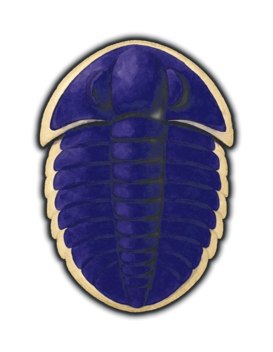 a trilobite seen from directly above: a flat oval shield divided lengthwise into three lobes, a broad crescent head with a raised ridge running down its middle and one crescent eye on the cheek either side of that ridge, a jointed thorax of repeated segments, and a small tail plate, the whole shield a deep violet-blue with pale cream margins along its rim