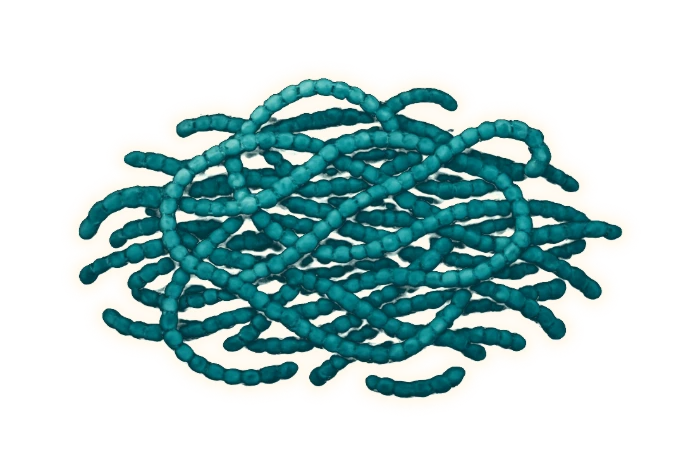 a loose drifting raft of many filaments lying across one another in a flat open layer, each filament plainly made of rounded cells stacked end to end like a string of beads with the separate cells clearly visible, the whole raft a deep blue-green teal — the same colour and the same beaded strands as the single filament earlier on this page