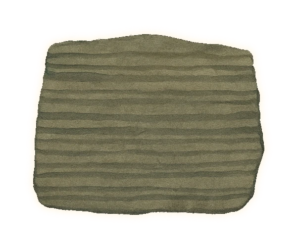 a hand-sized slab of fine-grained rock split along its bedding, showing dozens of thin, slightly wavy parallel layers stacked like the pages of a closed book, pale grey-green throughout