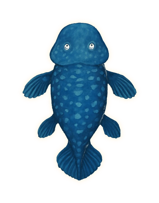 a coelacanth seen from directly overhead, lying flat on a stream bed and looked straight down upon from above: the same heavy scales, the same broad three-lobed tail, the same deep steel-blue mottled with pale blue-white flecks, and a pair of thick fleshy-based front fins spread out to either side, each ending in a fan of stiff fin-rays — and at the front, instead of an ordinary fish head, a broad flat spade much wider than the body, with both eyes sitting up on the flat top surface of it near the middle, looking straight up out of the picture at the viewer
