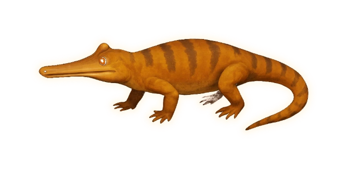 a phytosaur — a long low four-legged reptile whose snout is drawn out into a slender straight rod lined with small teeth, ending in a smooth solid rounded tip like the blunt end of a wooden spoon handle; set on top of the skull, directly between and just in front of the eyes, is a raised dome like a small volcano, and the two nostril openings sit on the summit of that dome, far back from the snout; four short legs, a long heavy tail, and a warm sandy bronze hide with soft darker bronze banding along the back; the eye is a small amber bead
